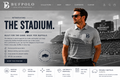 THE STADIUM
